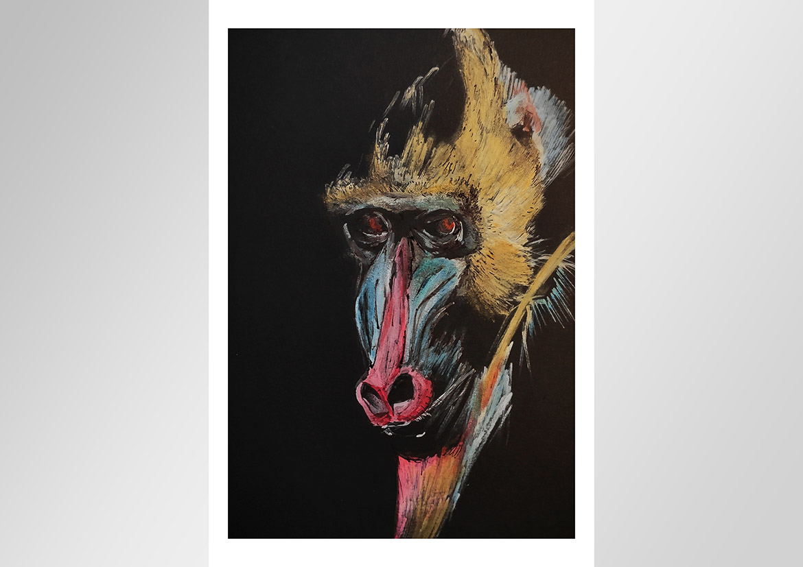Illustrationen - Motiv 03